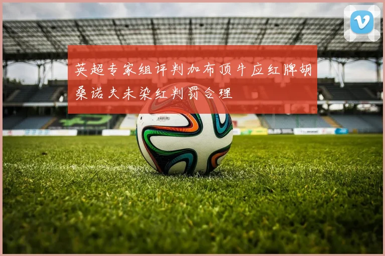 英超专家组评判加布顶牛应红牌胡桑诺夫未染红判罚合理