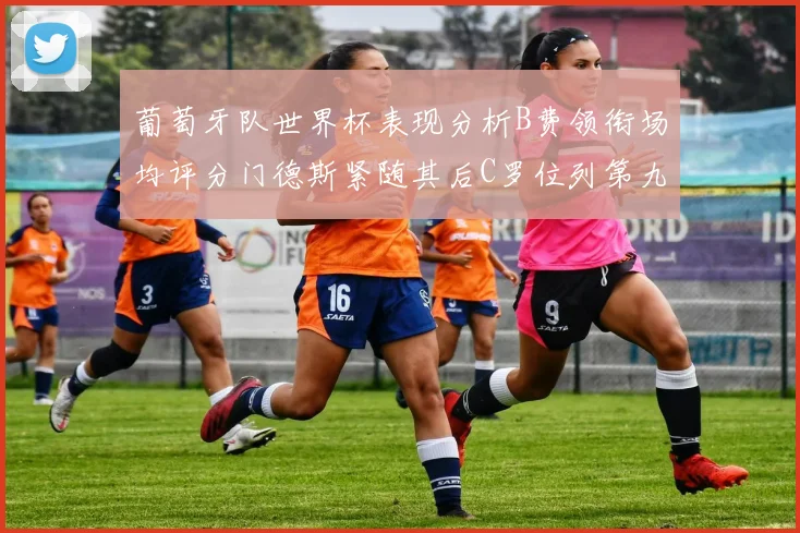 葡萄牙队世界杯表现分析B费领衔场均评分门德斯紧随其后C罗位列第九