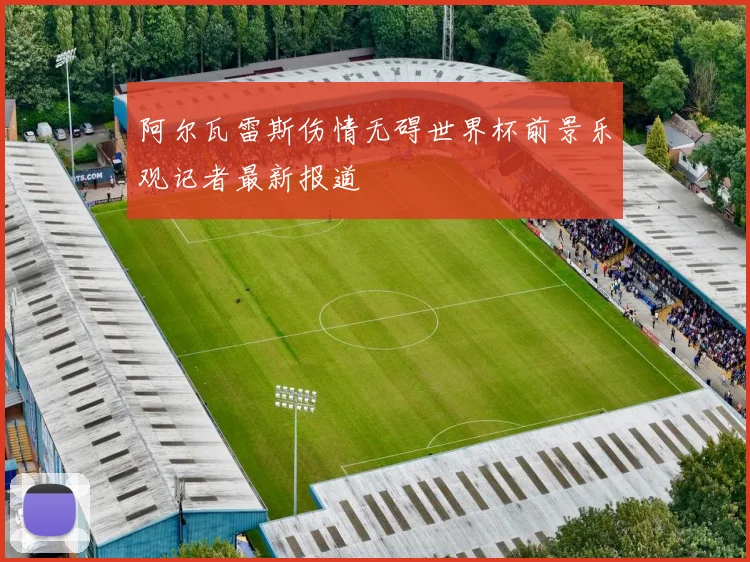 阿尔瓦雷斯伤情无碍世界杯前景乐观记者最新报道